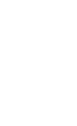 Lightbulb Icon